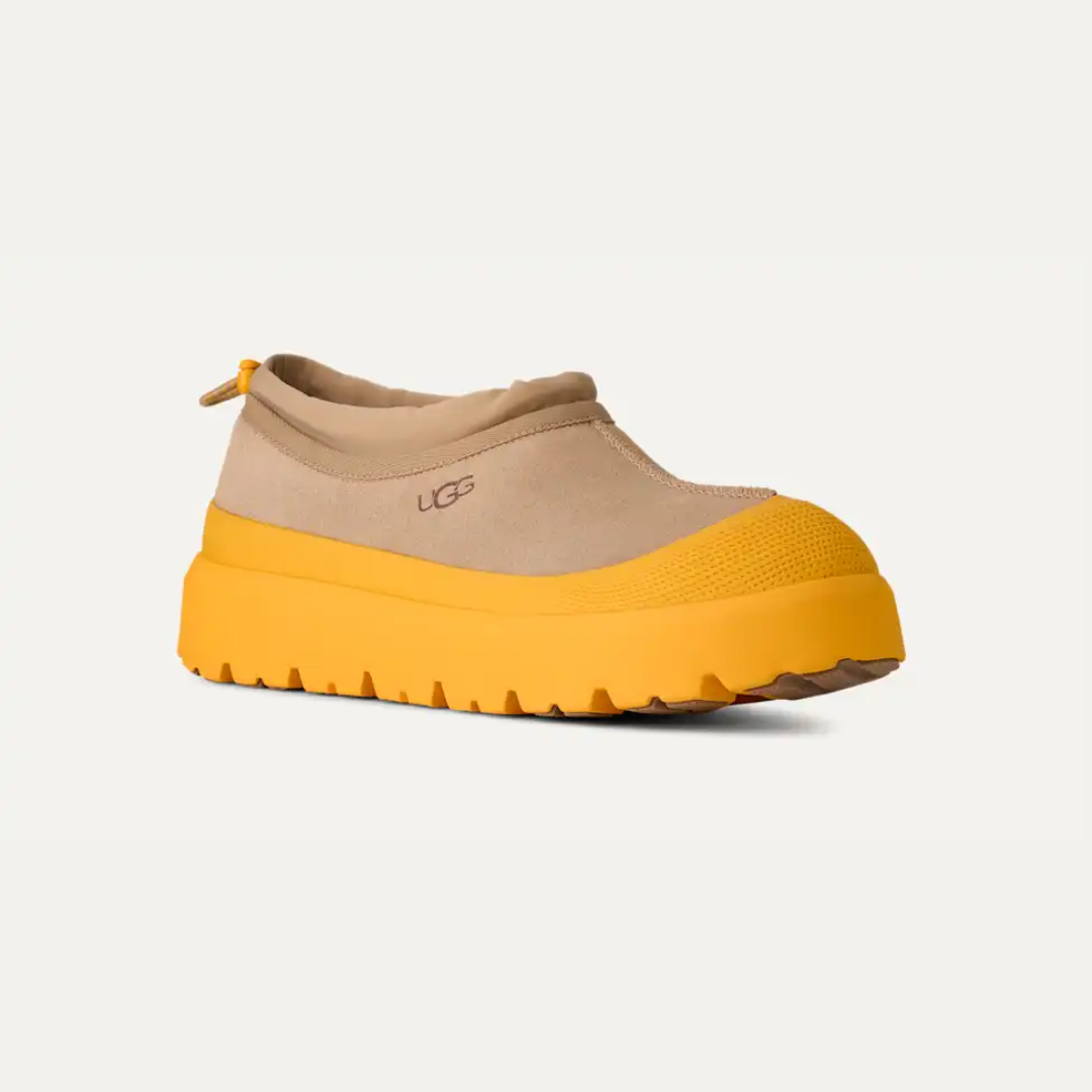 Tasman Weather Hybrid Mustard Seed / Summer Wheat Men's