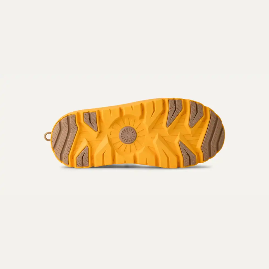 Tasman Weather Hybrid Mustard Seed / Summer Wheat Men's